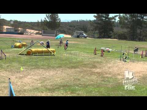 Simba Sat MC Standard BayTeamUSDAA July2014