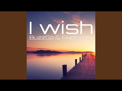 I Wish (Radio Edit)