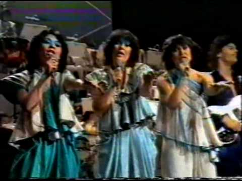 NSF 1981: The Familee - Festival