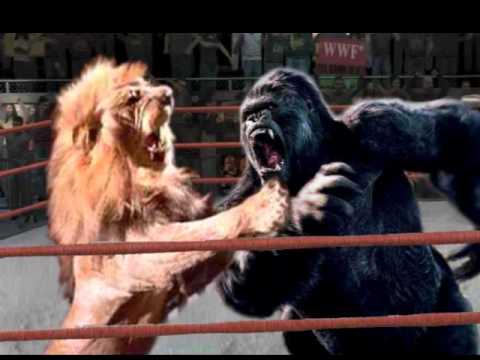 King of the Jungle P. Rod, Neno blaCC, DudeDaDon