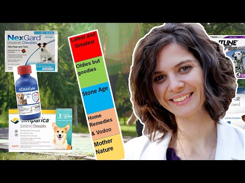 Safe and effective? Flea and tick meds from top to bottom