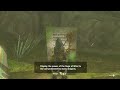 Display the power of the Sage of Wind to the owl protected by dragons | Zelda Tears of the Kingdom
