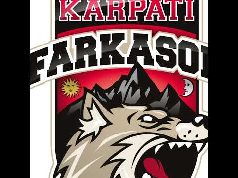 Élő közvetítés az érdi jégcsarnokból