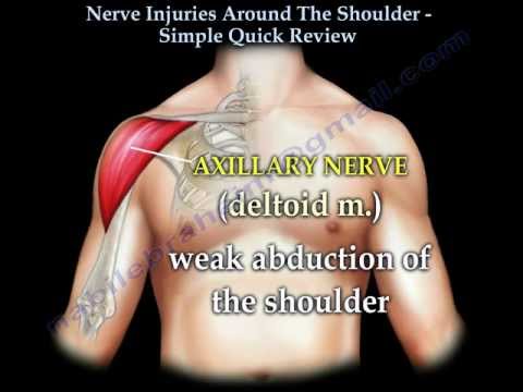 Nerve Injuries of the Shoulder ,axillary nerve - Everything You Need To Know - Dr. Nabil Ebraheim