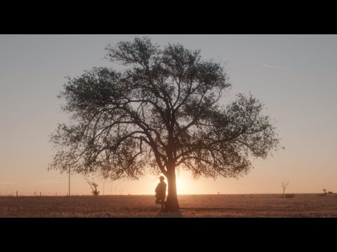 Randall King - I'll Fly Away (Official Music Video)