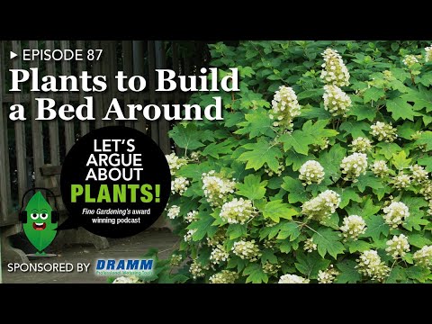 Episode 87: Plants to Build a Bed Around