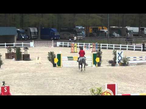 Hilton des Bruyeres ( Clinton X Fuego du Prelet ) Cyclus 5 years Gesves.m2ts