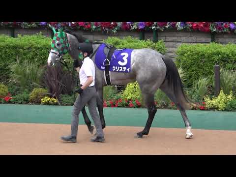 2021 第16回ヴィクトリアマイルGⅠパドック 現地映像 グランアレグリア