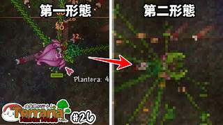【テラリア】召喚特化でプランテラに挑んだら相性抜群だった！｜建築勢が行く！Terrariaマスターモード実況！#27【ゆっくり実況】