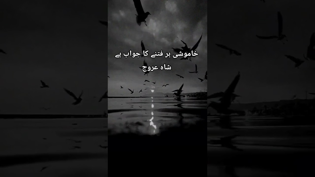 Urdu quotes by Shah Urooj 🌹🥰#preciousqoutes #inspirationalquotes #quotes