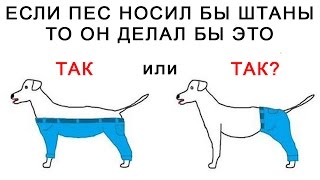 ГОЛОВОЛОМКИ, которые не РЕШИТЬ ВЗРОСЛЫМ