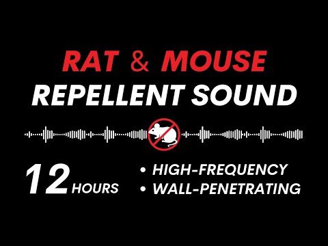 Ultrasonic Rat & Mouse Repellent | Effective Wall-Penetrating Sound | 12 Hours