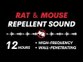 Ultrasonic Rat Mouse Repellent Effective Wall Penetrating Sound 12 Hours