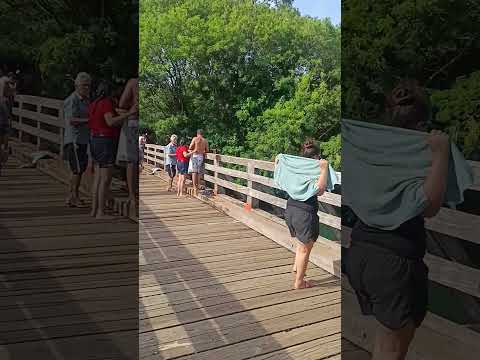 Ponte pensa Ribeirão Claro sp, Chavantes sp #shorts #imagens