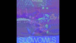 Totalmess - Slow Owls
