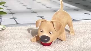 An Animated Story of a boy who hates his disabled dog