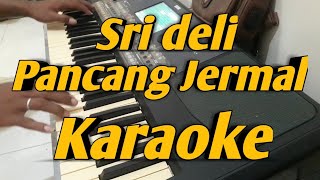 Download lagu Sri Deli & Pancang Jermal Karaoke Melayu 2 Dimensi mp3 Download lagu Sri Deli & Pancang Jermal Karaoke Melayu 2 Dimensi mp3