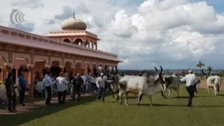 Miniatura do vídeo