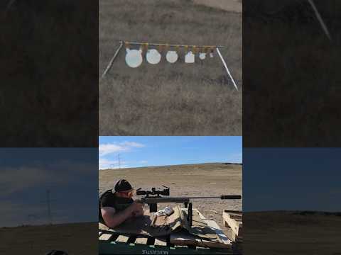 Tikka's New Rifle Is Near Perfection: Tikka T3x ACE Game and Target Review