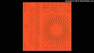 Laraaji - Laraaji's Vision Songs (Excerpt 2)