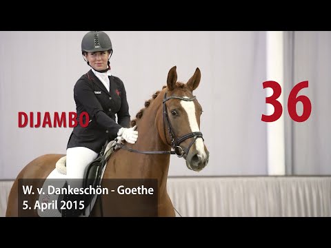 36 Djambo Wallach v. Dankeschön - Goethe