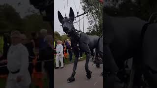 Download lagu moster anjing raksasa mp3