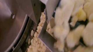 Fahrenheit Fair Enough - Baraka Music Video - Telefon Tel Aviv