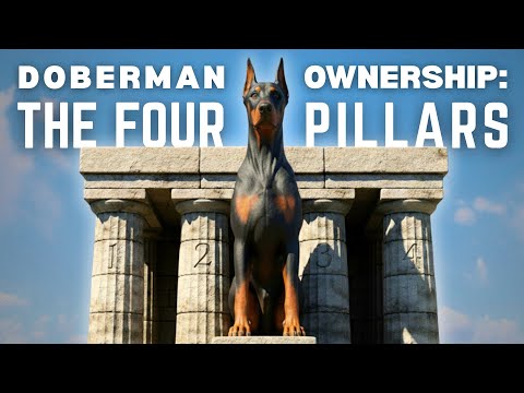 Unlock the 4 Pillars of Doberman Ownership