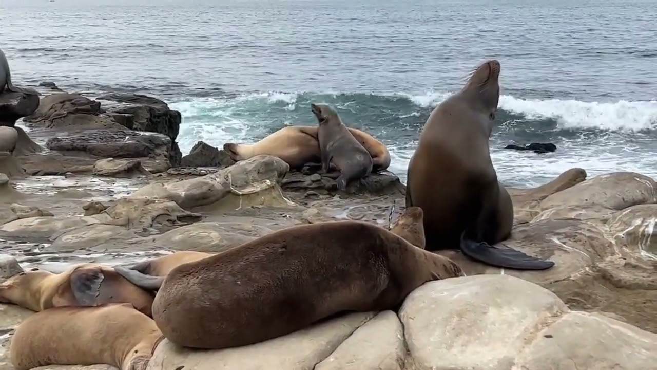 Explore Namibia Like Never Before with Namib Trails & Safari Paparazzi