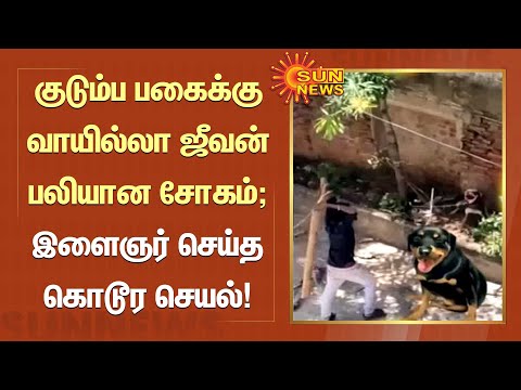 குடும்ப பகைக்கு வாயில்லா ஜீவன் பலியான சோகம்; இளைஞர் செய்த கொடூர செயல் | Tamil news | Sunnews