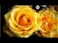 DOLLY PARTON - YELLOW ROSES.wmv