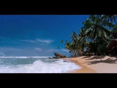 Alex Sounds847 - NEVER GIVE UP (OFFICIAL MUSIC VIDEO)