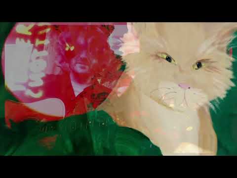 Particle Kid (Micah Nelson) "Everything Is Bullshit" LIVE! from Nowhere