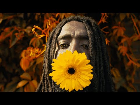 kwakunino x Daftpunk - Something about us