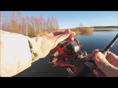 Markus Kalassa - Merikalastus 2018 Marraskuun haukia rannalta