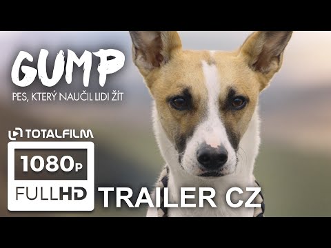 Náhled pro video reference