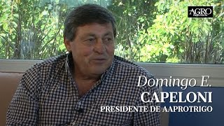 Domingo E. Capeloni - Presidente de AAPROTRIGO