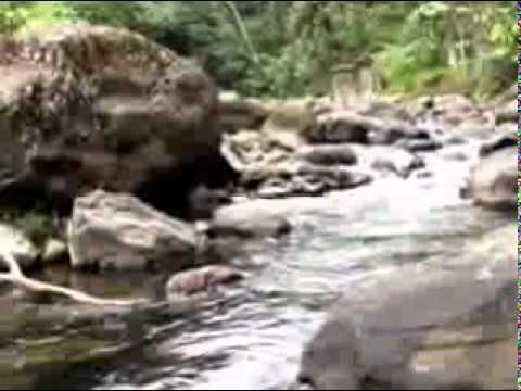 Baja al Rio - Grupo Carisma Verde y Caoba Nikel  .avi