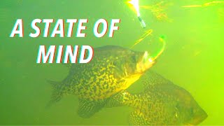 A STATE OF MIND, MISCONCEPTIONS and CONDITIONING  - In fish and ourselves.