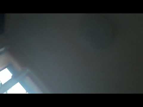 2023 m. balandžio 21 d.