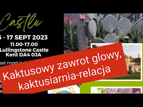 Kaktusiarnia-relacja z kaktusowego 2-dniowego wydarzenia 2023