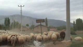 Dertli çoban,Şahören Köyü,mkuşcu42