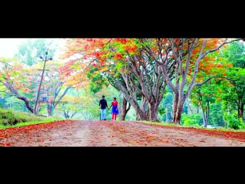 Prajeesh Weds Saranya memorable wedding highlight by Vaava Wedding  Design