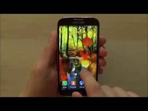 Autumn Forest Live Wallpaper Video