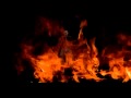 SPF 1000 - Darkness 