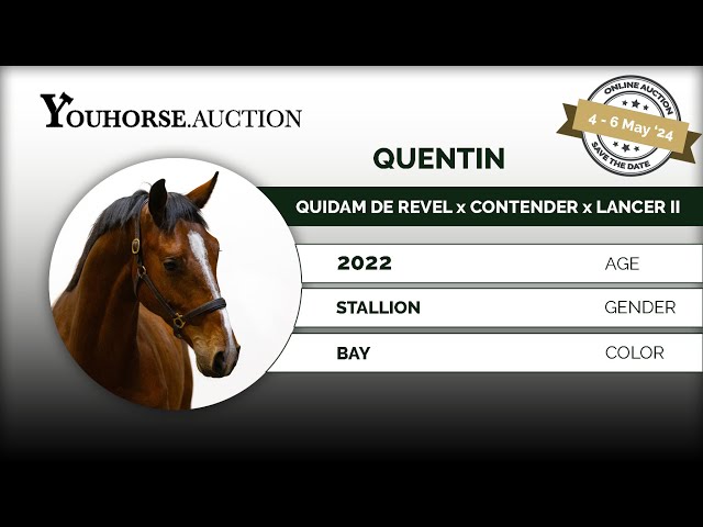 Quentin