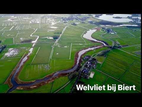 Simonshaven, Wellevliet