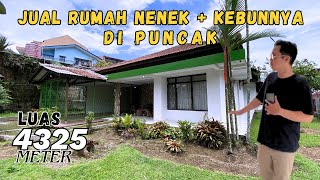 Download lagu Vintage villa house with an area of 4000 meters in Puncak | #villahouse #investment #villapuncak mp3 Download lagu Vintage villa house with an area of 4000 meters in Puncak | #villahouse #investment #villapuncak mp3