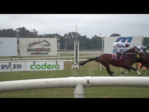 CARRERAS MARONAS 20/7/24 | EN VIVO | MONTEVIDEO ,  URUGUAY