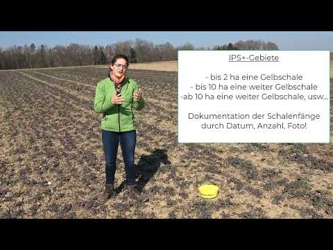 Pflanzenbau Aktuell - 11.03.2022